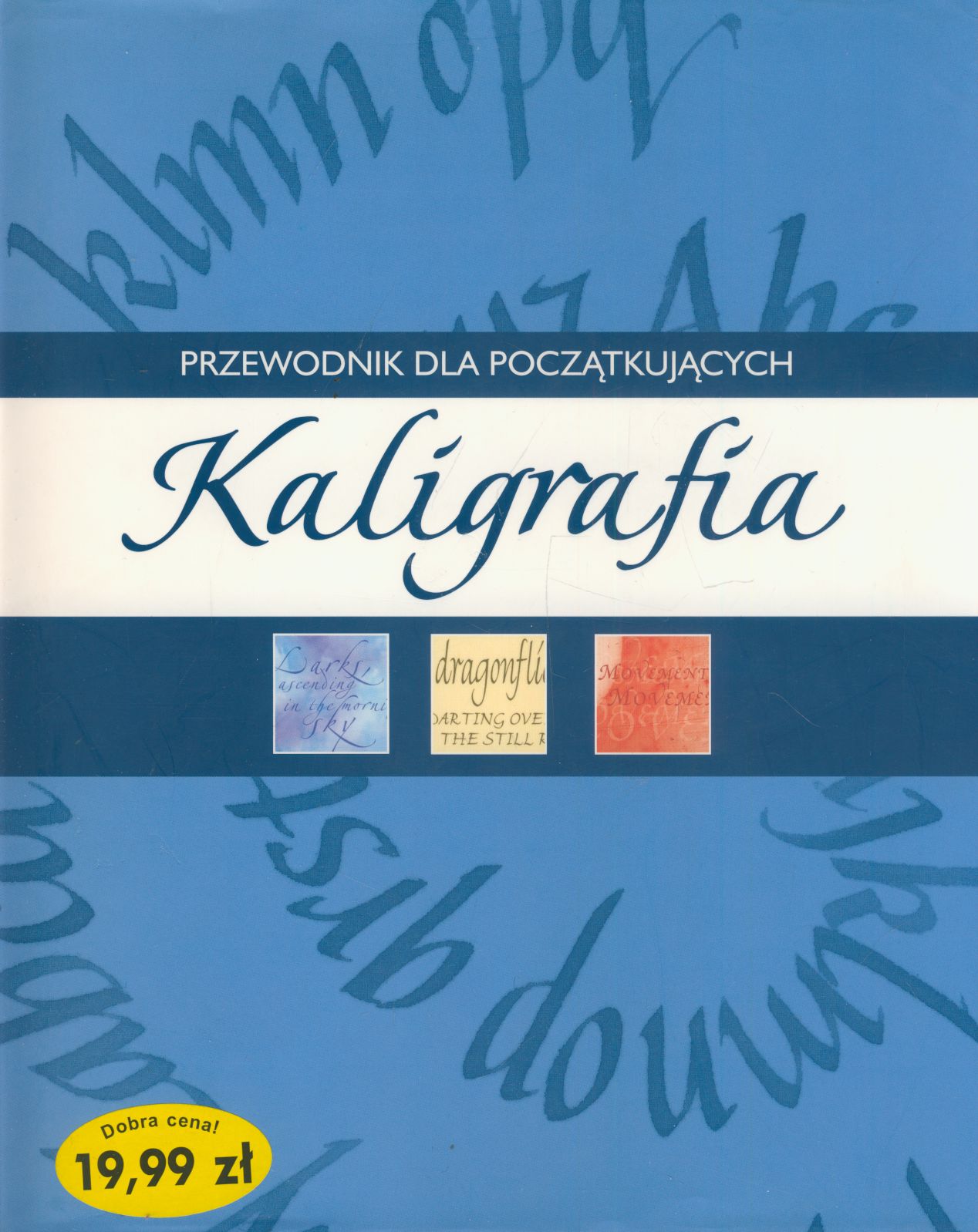 Kaligrafia Przewodnik Dla Początkujących Antykwariat Kawka 9498