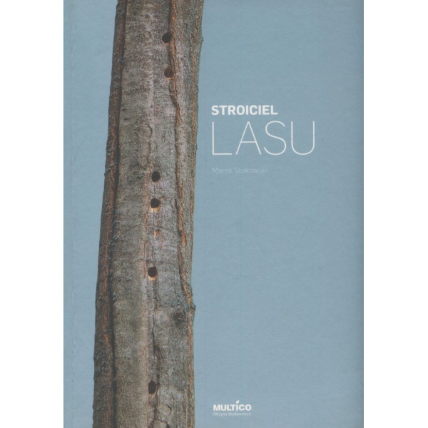 Stroiciel lasu
