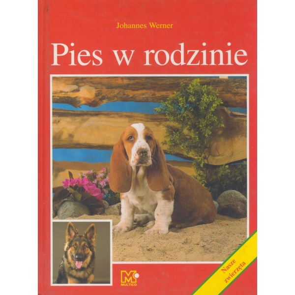 Pies w rodzinie